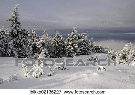 Winter landscape in the Harz, Brocken district, Saxony-Anhalt, Germany, Europe View Large Photo Image Stock Photo - Winter landscape in the Harz, Brocken district, Saxony-Anhalt, Germany, Europe. Fotosearch