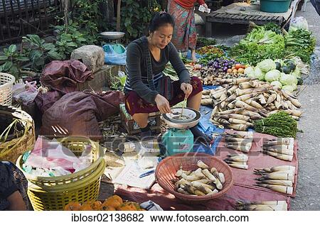 Stock Image - Woman selling bamboo shoots on the morning market, Luang Prabang, Laos, Indochina, Asia. Fotosearch