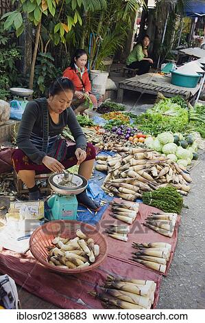 Woman selling bamboo shoots on the morning market, Luang Prabang, Laos, Indochina, Asia View Large Photo Image Stock Image - Woman selling bamboo shoots on the morning market, Luang Prabang, Laos, Indochina, Asia. Fotosearch