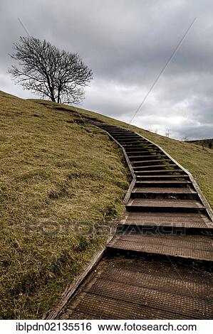 Stock Photograph - Wooden steps giving easy access to the top of St Catherine's Hill, Winchester, England, United Kingdom, Europe. Fotosearch