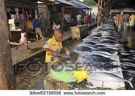 Young boy gutting fish for customers who bought the goods at the fish market, Kota Biak, Biak Island, Irian Jaya, Indonesia, Southeast Asia, Asia View Large Photo Image Stock Photo - Young boy gutting fish for customers who bought the goods at the fish market, Kota Biak, Biak Island, Irian Jaya, Indonesia, Southeast Asia, Asia. Fotosearch