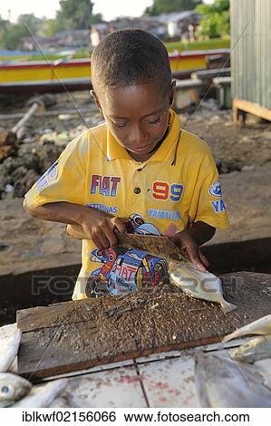 Young boy gutting fish for customers who bought the goods at the fish market, Kota Biak, Biak Island, Irian Jaya, Indonesia, Southeast Asia, Asia View Large Photo Image Stock Photograph - Young boy gutting fish for customers who bought the goods at the fish market, Kota Biak, Biak Island, Irian Jaya, Indonesia, Southeast Asia, Asia. Fotosearch