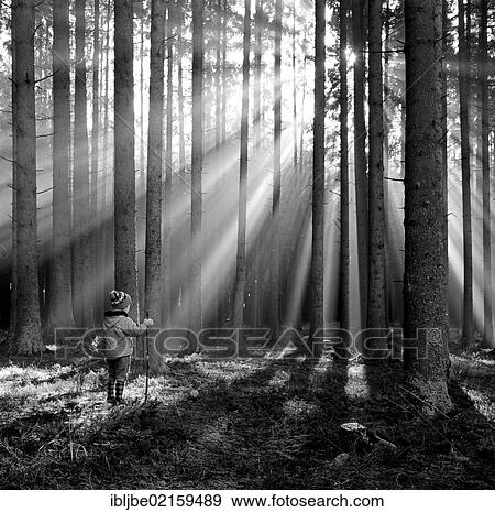 Stock Photo - Young boy standing in the woods, sunlit trees, mist, fog, anxiety. Fotosearch