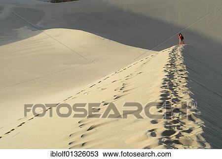 Young Chinese woman taking photographs on the sand dunes of the Gobi Desert, Silk Road, Gansu, China, Asia View Large Photo Image Stock Image - Young Chinese woman taking photographs on the sand dunes of the Gobi Desert, Silk Road, Gansu, China, Asia. Fotosearch