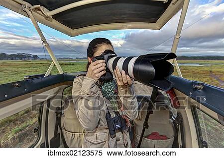 Young photographer taking pictures from a safari bus, Lake Nakuru National Park, Kenya, East Africa, PublicGround, Africa View Large Photo Image Stock Photography - Young photographer taking pictures from a safari bus, Lake Nakuru National Park, Kenya, East Africa, PublicGround, Africa. Fotosearch