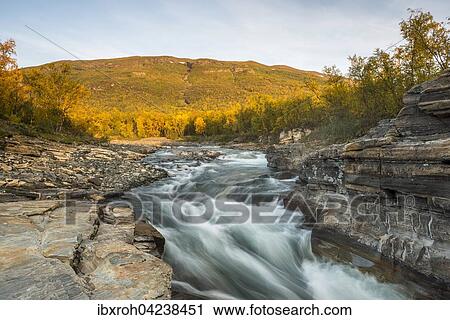 Stock Image - Autumnal Abisko canyon, Abiskojokk river, Abiskojokk, Abisko National Park, Norrbotten, Lapland, Sweden, Europe. Fotosearch