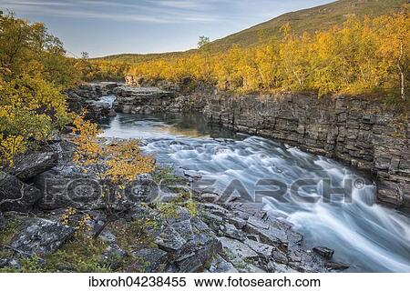 Stock Photography - Autumnal Abisko canyon, Abiskojokk river, Abiskojokk, Abisko National Park, Norrbotten, Lapland, Sweden, Europe. Fotosearch
