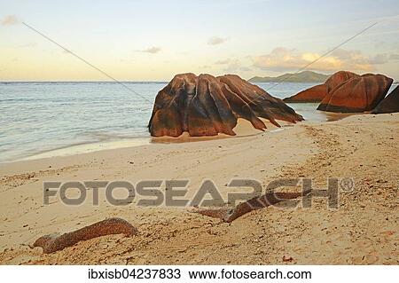Stock Image - Beach and granite rocks on the beach at sunrise, Source d`Argent, La Digue, Seychelles, Africa. Fotosearch