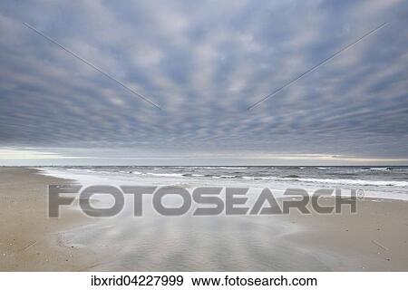 Beach on the North Sea, cloudy sky, Texel, West Frisian Islands, Province of North Holland, The Netherlands, Europe View Large Photo Image Stock Photo - Beach on the North Sea, cloudy sky, Texel, West Frisian Islands, Province of North Holland, The Netherlands, Europe. Fotosearch