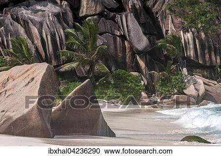 Beach with granite rocks and palm trees, Grand Anse, La Digue Island, Seychelles, Africa View Large Photo Image Stock Image - Beach with granite rocks and palm trees, Grand Anse, La Digue Island, Seychelles, Africa. Fotosearch