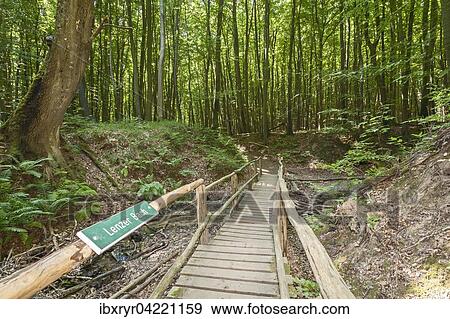 Stock Photo - Bridge over Lenzer Bach stream, Jasmund National Park, Rugen, Baltic Sea, Mecklenburg-Western Pomerania, Germany, Europe. Fotosearch