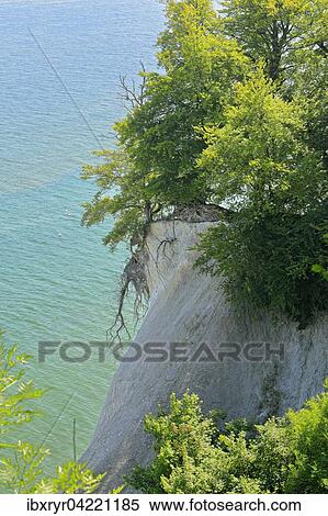 Stock Photography - Chalk cliffs, island of Rugen, Baltic Sea, Mecklenburg-Western Pomerania, Germany, Europe. Fotosearch