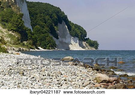 Chalk cliffs, Kiel coast, Rugen, Baltic Sea, Mecklenburg-Western Pomerania, Germany, Europe View Large Photo Image Stock Photo - Chalk cliffs, Kiel coast, Rugen, Baltic Sea, Mecklenburg-Western Pomerania, Germany, Europe. Fotosearch