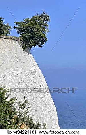 Stock Image - Chalk cliffs, Ruegen Island, Mecklenburg-Western Pomerania, Germany, Europe. Fotosearch