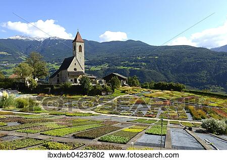 Church of St. Clement in, Tschotsch am Pfefferberg in Brixen, Eisacktal, Province of South Tyrol, Alto Adige, Italy, Europe View Large Photo Image Stock Image - Church of St. Clement in, Tschotsch am Pfefferberg in Brixen, Eisacktal, Province of South Tyrol, Alto Adige, Italy, Europe. Fotosearch