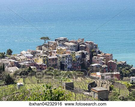 Corniglia, Cinque Terre, Liguria, Italy, Europe View Large Photo Image Stock Photograph - Corniglia, Cinque Terre, Liguria, Italy, Europe. Fotosearch