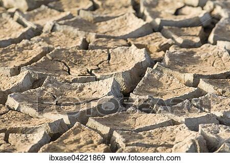 Stock Photo - Cracked floodplain mud, dry season, Djoudj National Park, Senegal, Africa. Fotosearch