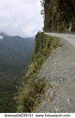 Death road, Camino de la Muerte, Yungas North Road between La Paz and Coroico, Bolivia, South America View Large Photo Image Stock Image - Death road, Camino de la Muerte, Yungas North Road between La Paz and Coroico, Bolivia, South America. Fotosearch