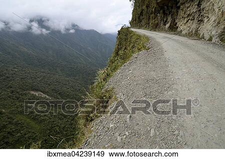 Death road, Camino de la Muerte, Yungas North Road between La Paz and Coroico, Bolivia, South America View Large Photo Image Stock Photo - Death road, Camino de la Muerte, Yungas North Road between La Paz and Coroico, Bolivia, South America. Fotosearch