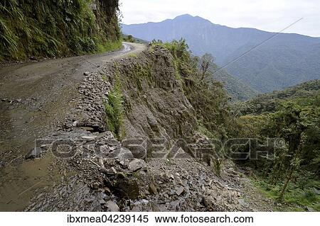 Death road, Camino de la Muerte, Yungas North Road between La Paz and Coroico, Bolivia, South America View Large Photo Image Stock Photography - Death road, Camino de la Muerte, Yungas North Road between La Paz and Coroico, Bolivia, South America. Fotosearch