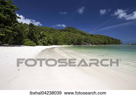 Stock Photo - Dreamlike white sand beach with palm trees, Port Launay Marine National Park, Mahe Island, Seychelles, Africa. Fotosearch