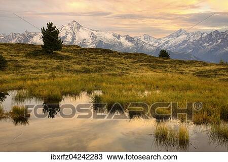 Evening mood in autumn, view to Ahornspitze, upland moor in the Zillertal valley, Tyrol, Austria, Europe View Large Photo Image Stock Image - Evening mood in autumn, view to Ahornspitze, upland moor in the Zillertal valley, Tyrol, Austria, Europe. Fotosearch