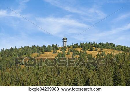 Feldbergturm Tower on Mt Feldberg, Black Forest, Breisgau-Hochschwarzwald district, Baden-Wurttemberg, Germany, Europe View Large Photo Image Stock Image - Feldbergturm Tower on Mt Feldberg, Black Forest, Breisgau-Hochschwarzwald district, Baden-Wurttemberg, Germany, Europe. Fotosearch