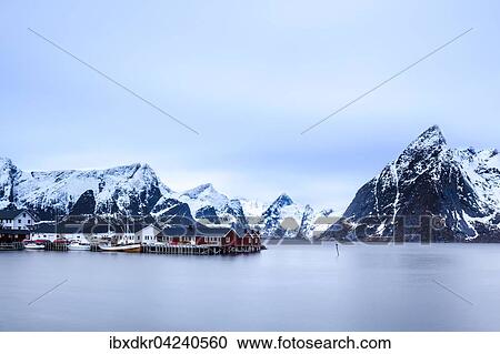 Fishermen's houses, Rorbu, Moskenesoya, Reine, Hamnoy, Hamnoy Lofoten, Norway, Europe View Large Photo Image Stock Image - Fishermen's houses, Rorbu, Moskenesoya, Reine, Hamnoy, Hamnoy Lofoten, Norway, Europe. Fotosearch