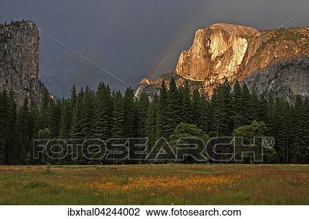 Flower meadow in Yosemite Valley, Half Dome behind illuminated by setting sun, stormy mood, evening light, Yosemite National Park, USA, North America View Large Photo Image Stock Image - Flower meadow in Yosemite Valley, Half Dome behind illuminated by setting sun, stormy mood, evening light, Yosemite National Park, USA, North America. Fotosearch
