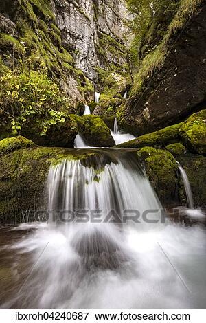 Forest stream in Hartelsgraben, Gesaeuse National Park, Styria, Austria, Europe View Large Photo Image Stock Photo - Forest stream in Hartelsgraben, Gesaeuse National Park, Styria, Austria, Europe. Fotosearch