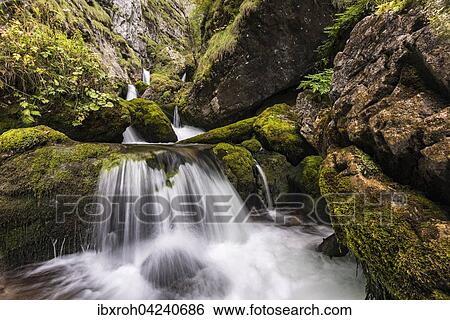 Stock Photograph - Forest stream in Hartelsgraben, Gesaeuse National Park, Styria, Austria, Europe. Fotosearch