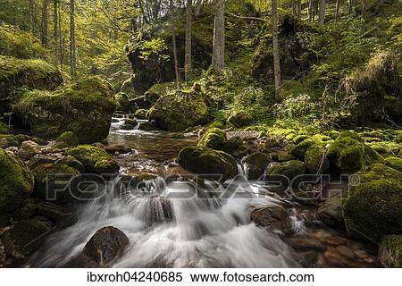 Forest stream in Hartelsgraben, Gesaeuse National Park, Styria, Austria, Europe View Large Photo Image Stock Photography - Forest stream in Hartelsgraben, Gesaeuse National Park, Styria, Austria, Europe. Fotosearch