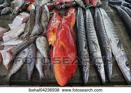 Freshly caught fish for sale at fish market, Sir Selwyn Selwyn-Clarke Market, Victoria, Mahe Island, Seychelles, Africa View Large Photo Image Stock Photo - Freshly caught fish for sale at fish market, Sir Selwyn Selwyn-Clarke Market, Victoria, Mahe Island, Seychelles, Africa. Fotosearch