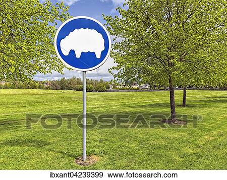 Grazing sheep sign on freshly mown meadow, park, Dublin, Ireland, Europe View Large Photo Image Stock Photo - Grazing sheep sign on freshly mown meadow, park, Dublin, Ireland, Europe. Fotosearch