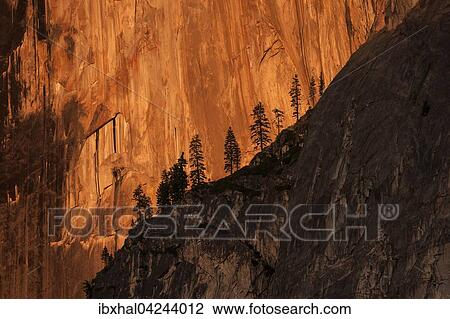 Half Dome northwest face illuminated by setting sun, evening light, Yosemite National Park, USA, North America View Large Photo Image Stock Image - Half Dome northwest face illuminated by setting sun, evening light, Yosemite National Park, USA, North America. Fotosearch