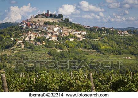 Idyllic village on hilltop with Venetian fortress, grapevines in front, Motovun, Istria, Croatia, Europe View Large Photo Image Picture - Idyllic village on hilltop with Venetian fortress, grapevines in front, Motovun, Istria, Croatia, Europe. Fotosearch