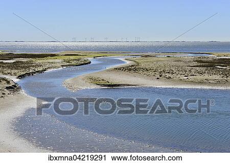 Lagoon on the west of the island, with blue tidal creek, Wangerooge, Friesland, Lower Saxony, Germany, Europe View Large Photo Image Stock Image - Lagoon on the west of the island, with blue tidal creek, Wangerooge, Friesland, Lower Saxony, Germany, Europe. Fotosearch