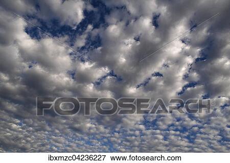 Large fluffy clouds (Altocumulus), Bavaria, Germany, Europe View Large Photo Image Stock Photo - Large fluffy clouds (Altocumulus), Bavaria, Germany, Europe. Fotosearch