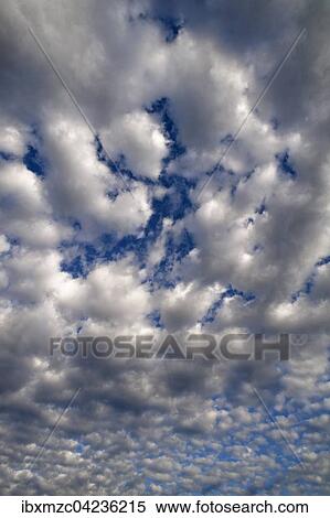 Large fluffy clouds (Altocumulus), Bavaria, Germany, Europe View Large Photo Image Stock Photography - Large fluffy clouds (Altocumulus), Bavaria, Germany, Europe. Fotosearch