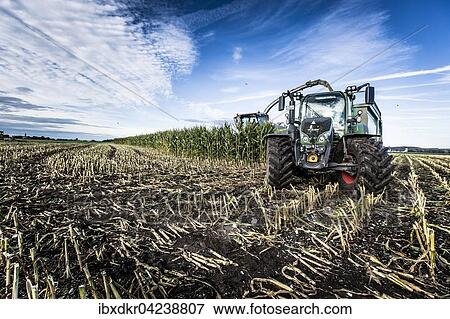 Maize chopper with tractor, harvest period, farmers in Maisen, Unterallgau District, Bavaria, Germany, Europe View Large Photo Image Stock Photo - Maize chopper with tractor, harvest period, farmers in Maisen, Unterallgau District, Bavaria, Germany, Europe. Fotosearch
