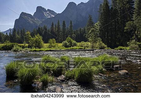 Merced River, Cathedral Rocks behind, Yosemite Valley, Yosemite National Park, USA, North America View Large Photo Image Stock Photo - Merced River, Cathedral Rocks behind, Yosemite Valley, Yosemite National Park, USA, North America. Fotosearch
