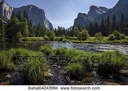 Merced River, El Capitan left, Cathedral Rocks right, evening light, Yosemite Valley, Yosemite National Park, USA, North America View Large Photo Image Picture - Merced River, El Capitan left, Cathedral Rocks right, evening light, Yosemite Valley, Yosemite National Park, USA, North America. Fotosearch
