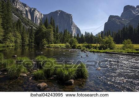 Merced River, El Capitan left, Cathedral Rocks right, evening light, Yosemite Valley, Yosemite National Park, USA, North America View Large Photo Image Stock Photography - Merced River, El Capitan left, Cathedral Rocks right, evening light, Yosemite Valley, Yosemite National Park, USA, North America. Fotosearch
