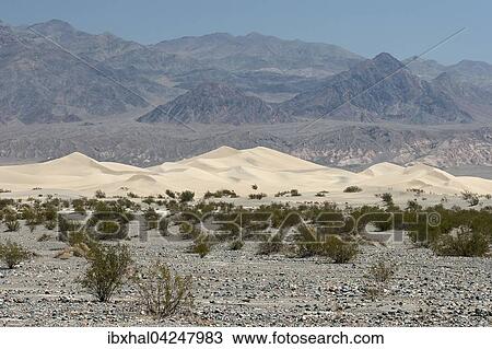 Mesquite Flat Sand Dunes, Death Valley National Park, Mojave Desert, California, USA, North America View Large Photo Image Stock Image - Mesquite Flat Sand Dunes, Death Valley National Park, Mojave Desert, California, USA, North America. Fotosearch