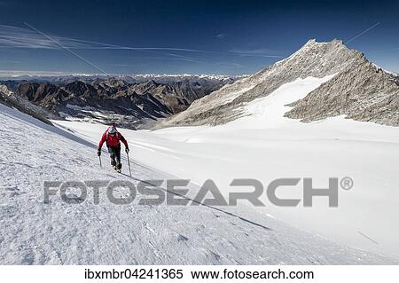 Mountaineer on Gliederferner, climbing to Hoher Weisszint, Hochfeiler right, Zillertal Alps, Lappach, Muhlwaldertal, Aurina Valley, Puster Valley, Trentino-South Tyrol, Italy, Europe View Large Photo Image Stock Photography - Mountaineer on Gliederferner, climbing to Hoher Weisszint, Hochfeiler right, Zillertal Alps, Lappach, Muhlwaldertal, Aurina Valley, Puster Valley, Trentino-South Tyrol, Italy, Europe. Fotosearch