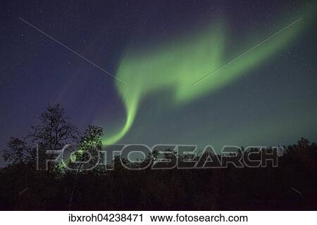 Northern Lights or Aurora Borealis over trees, Kvikkjokk, Lapland, Sweden, Europe View Large Photo Image Stock Image - Northern Lights or Aurora Borealis over trees, Kvikkjokk, Lapland, Sweden, Europe. Fotosearch