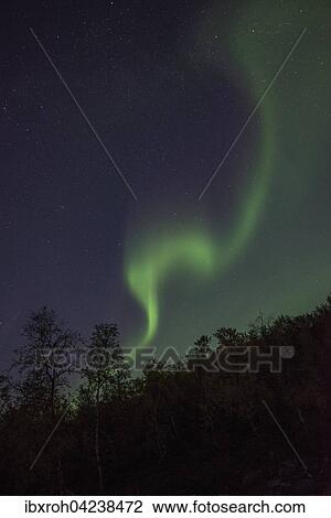 Stock Image - Northern Lights or Aurora Borealis over trees, Kvikkjokk, Lapland, Sweden, Europe. Fotosearch