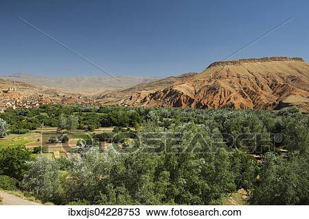 Oasis with date palms, Boumalne-du-Dades behind, Dades Valley, Morocco, Africa View Large Photo Image Stock Image - Oasis with date palms, Boumalne-du-Dades behind, Dades Valley, Morocco, Africa. Fotosearch