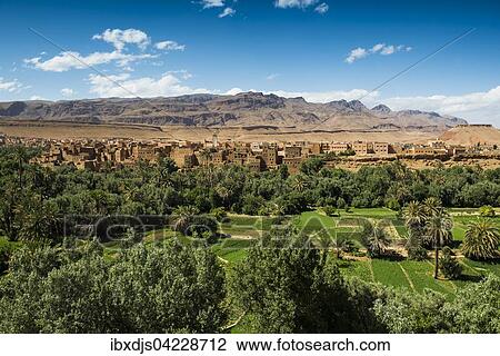 Oasis with traditional adobe houses and date palms, Tinghir behind, Morocco, Africa View Large Photo Image Stock Image - Oasis with traditional adobe houses and date palms, Tinghir behind, Morocco, Africa. Fotosearch