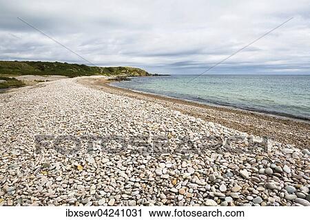 Pebble beach at end of Claggain Bay, Isle of Islay, Scotland, United Kingdom, Europe View Large Photo Image Stock Image - Pebble beach at end of Claggain Bay, Isle of Islay, Scotland, United Kingdom, Europe. Fotosearch